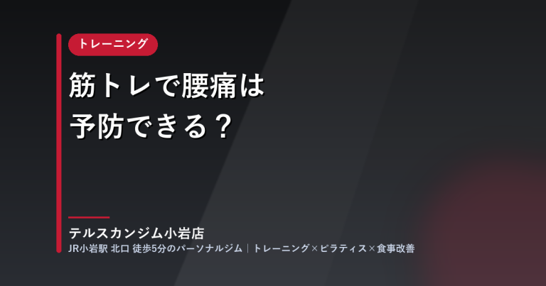 筋トレで腰痛は予防できる？ テルスカンジム小岩店